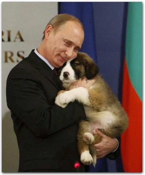 Файл:Putin.jpg