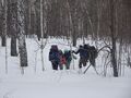 Миниатюра для версии от 03:06, 2 октября 2022