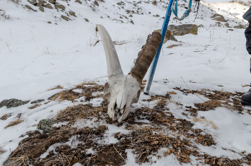 Файл:Киргизия2024 35.jpg