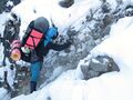 Миниатюра для версии от 23:04, 14 мая 2017