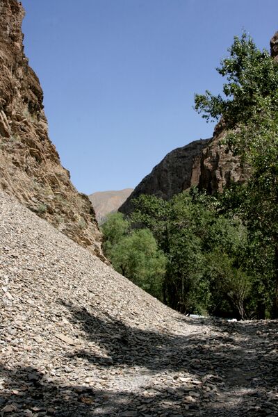 Файл:2010-2-talas-3.jpg
