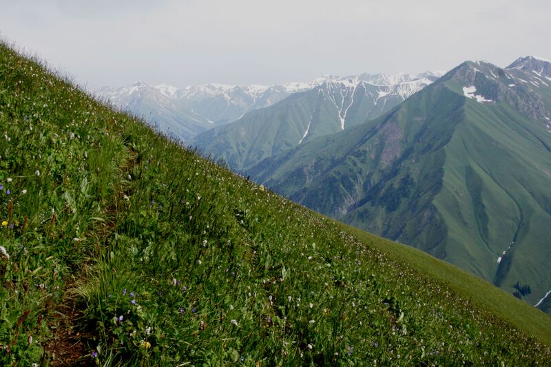 Файл:2010-2-talas-29.jpg
