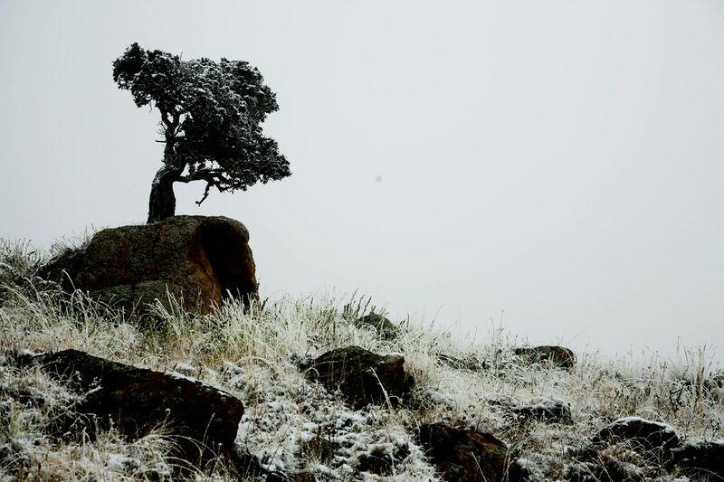 Файл:2011-3-zail-41.jpg