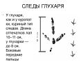 Миниатюра для версии от 17:07, 18 ноября 2020