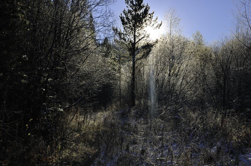 Файл:Tuzuksu2013 DSC 6314.jpg