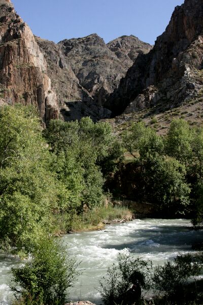 Файл:2010-2-talas-1.jpg