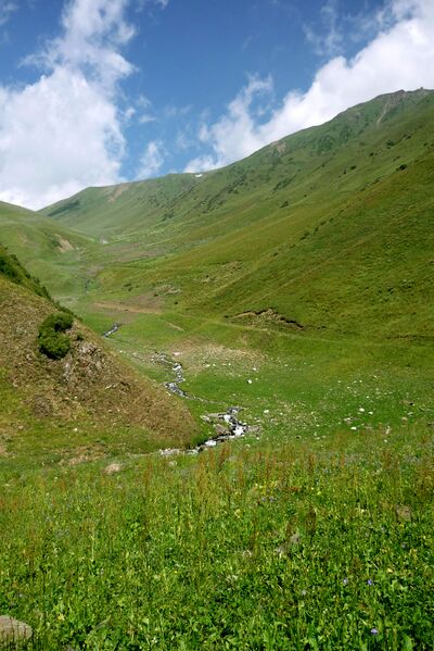 Файл:2010-2-talas-77.jpg