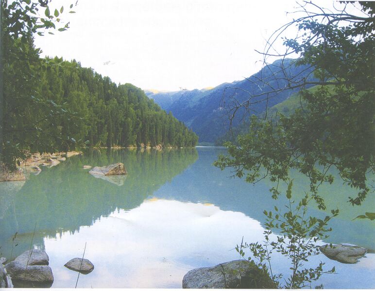 Файл:Djungaria2009 Emerald Lake bottom.jpg