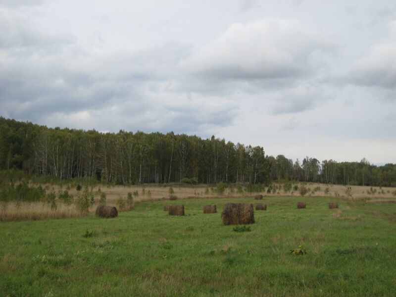 Файл:Marathon race borisov 2012 0008.jpg