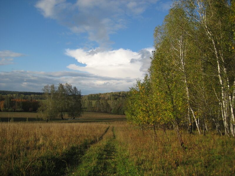 Файл:Marathon race borisov 2012 0011.jpg