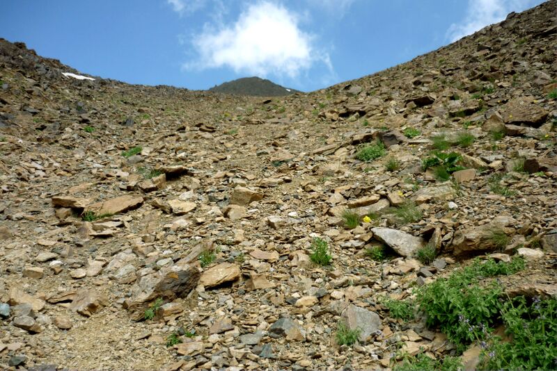 Файл:2010-2-talas-82.jpg