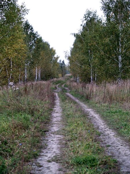Файл:Marathon race borisov 2011 0010.jpg