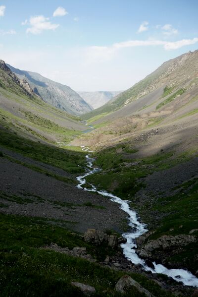 Файл:2010-2-talas-4.jpg