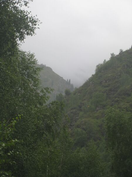 Файл:Djungaria2008 july 0018.jpg