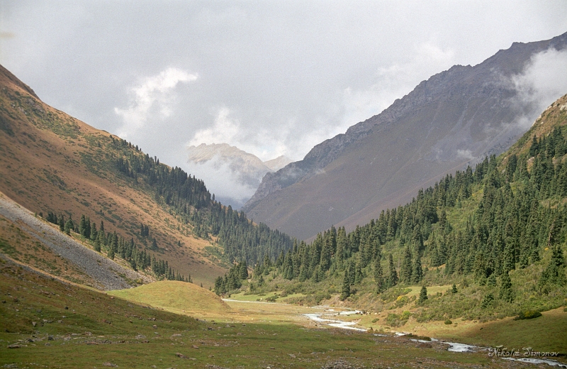 11-36.jpg -      (      )