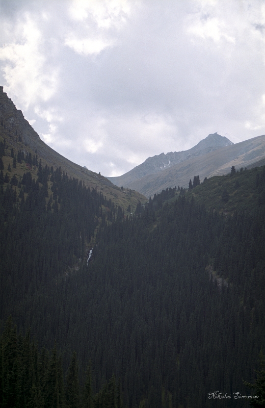 12-01.jpg -   (  )