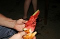 IMG_14395