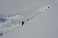 IMG_15444