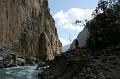 IMG_16313