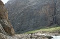 IMG_16336