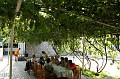 IMG_16488