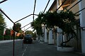 IMG_14399