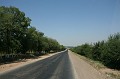 IMG_14415