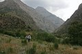 IMG_14458sh