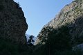 IMG_14492sh
