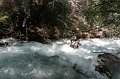 IMG_14525