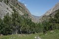 IMG_14537
