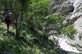 IMG_14540