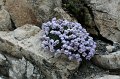 IMG_14693
