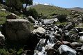 IMG_14867