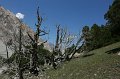 IMG_14870