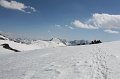 IMG_15044