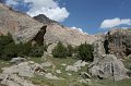 IMG_15184
