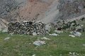 IMG_15216