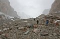 IMG_15257