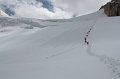 IMG_15466