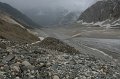 IMG_15491
