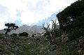IMG_16212