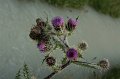IMG_16222