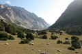 IMG_16265