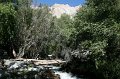 IMG_16284