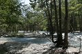 IMG_16307