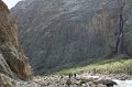 IMG_16336