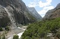 IMG_16352