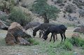 IMG_16391