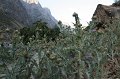 IMG_16400